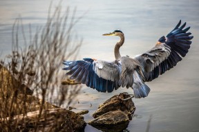 华体会手机在线-职业球员自由市场机制是否仍不透明，自由球员市场开启