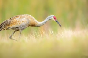 华体会官网-湖人训练场引入全新技术设备提升效率，湖人队的训练场