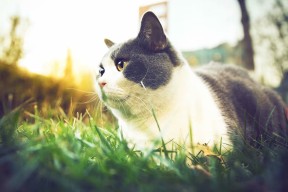 华体会登陆-坦桑尼亚男篮在非洲锦标赛中奋勇攀登，追求突破