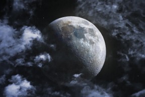 华体会官网-“诺克·达维德·彼得森：南非羚羊队的新星崛起”