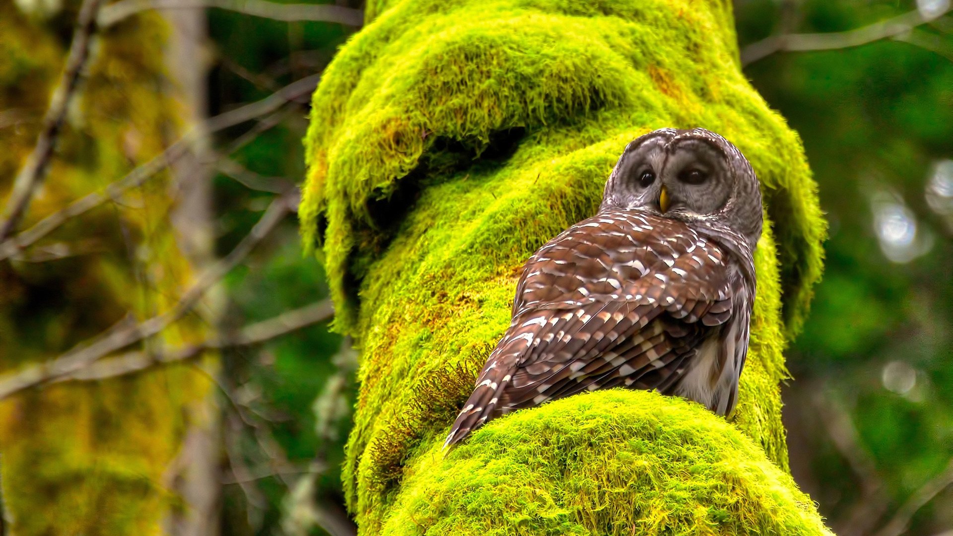 国足比赛上下半场表现差异统计,国足上半场数据