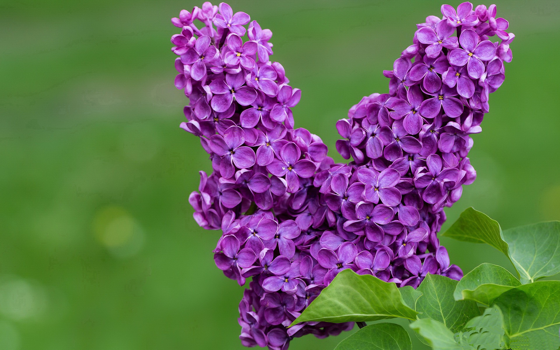 高校体育专业人才培养模式创新研究,体育人才培养方案心得体会