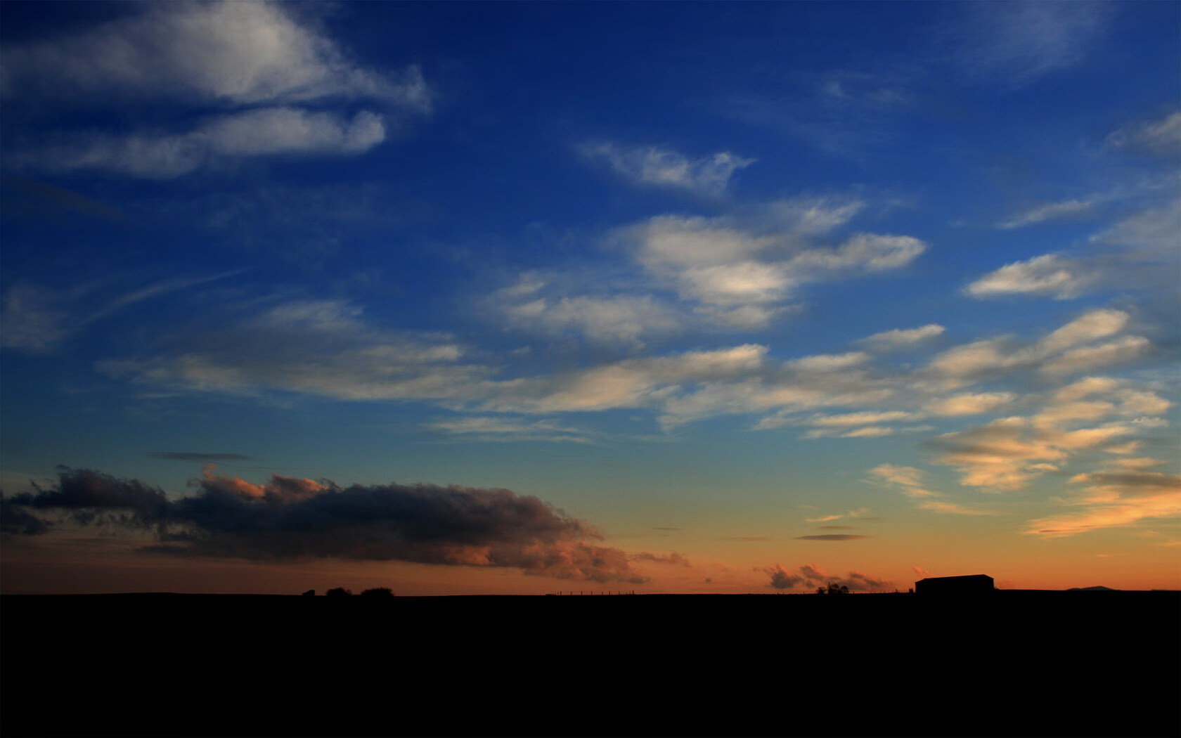 “破纪录之战!武汉马拉松迎接全新挑战”