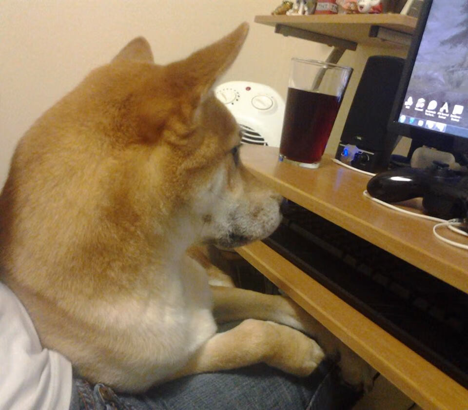 世界杯中国足球晋级 热血时刻燃爆全场,世界杯足球2022中国