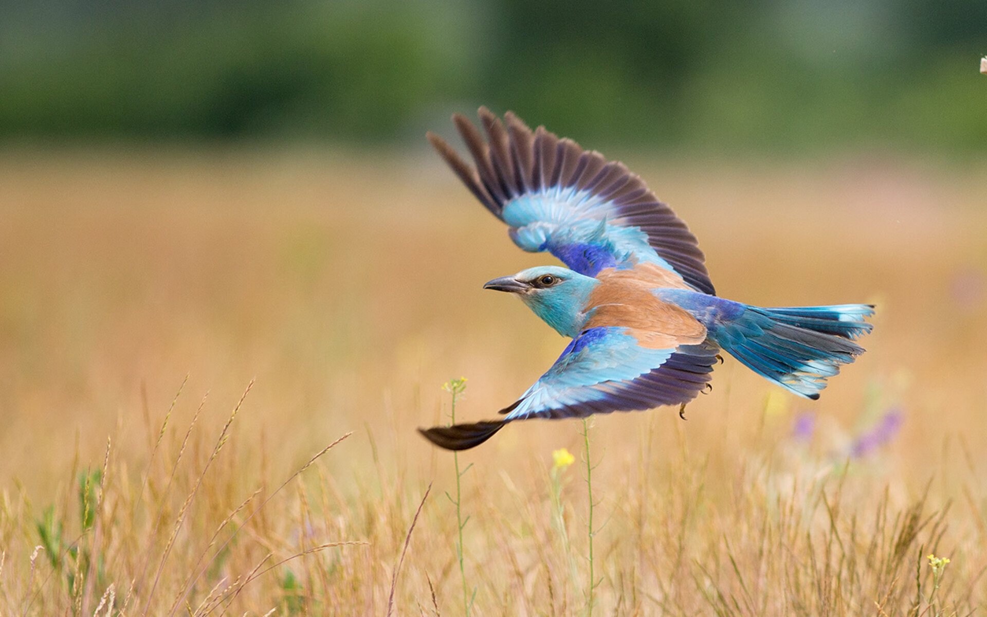 校园田径比赛首次引入电子计时系统,田径比赛电子计时设备