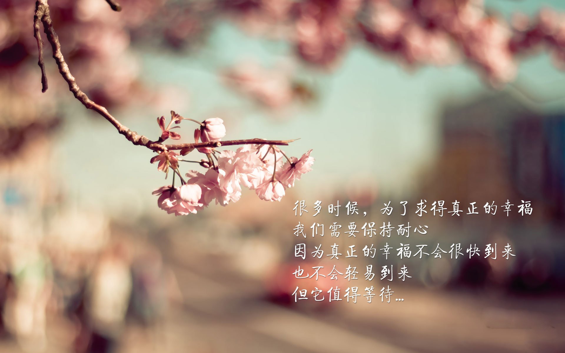 运动科技推动智能场地建设加速落地,智慧运动场馆建设