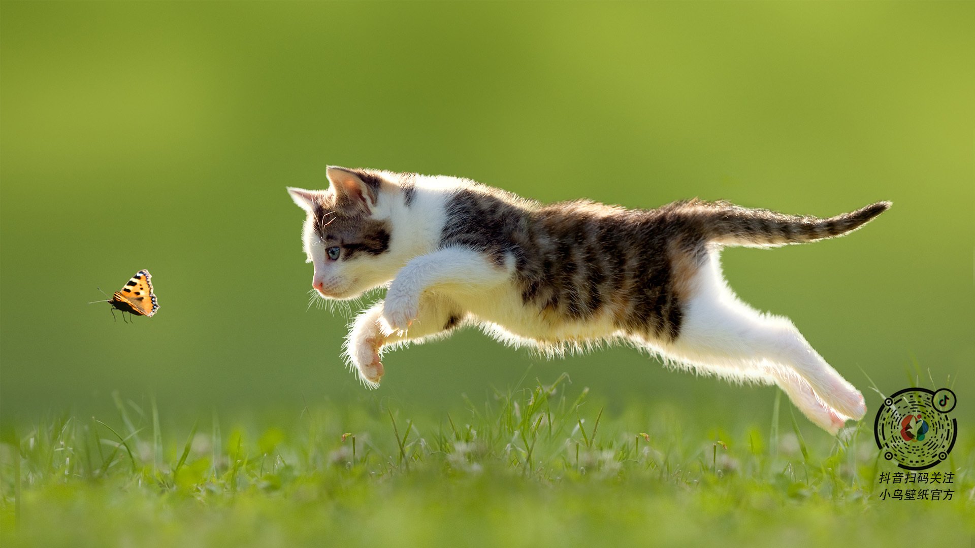 世界杯激情再燃:高潮不断,精彩值得期待!,世界杯精彩片段视频