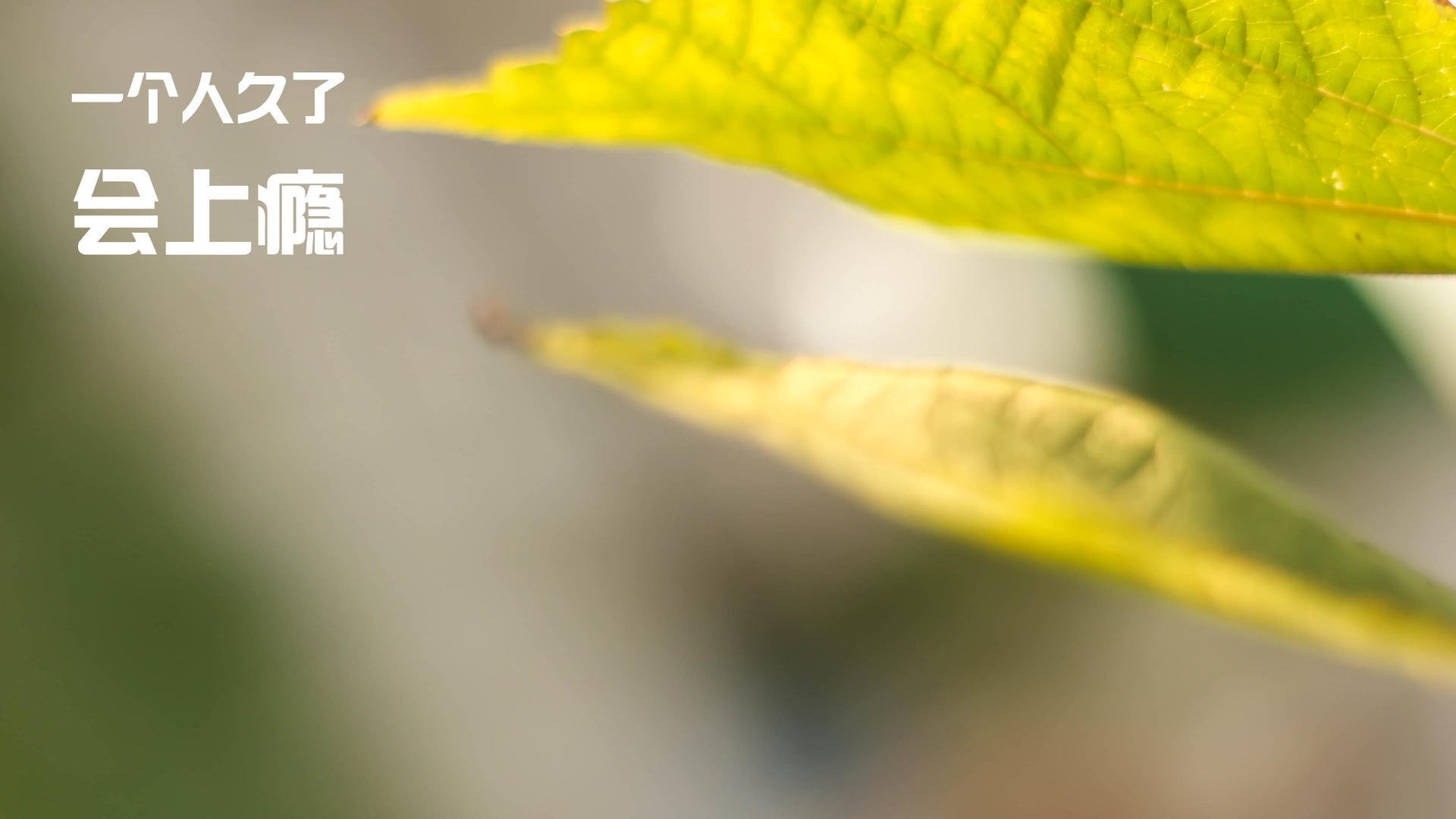 乌干达男篮在非洲预赛中拼搏不止,争取奥运资格,乌干达国家男子足球队