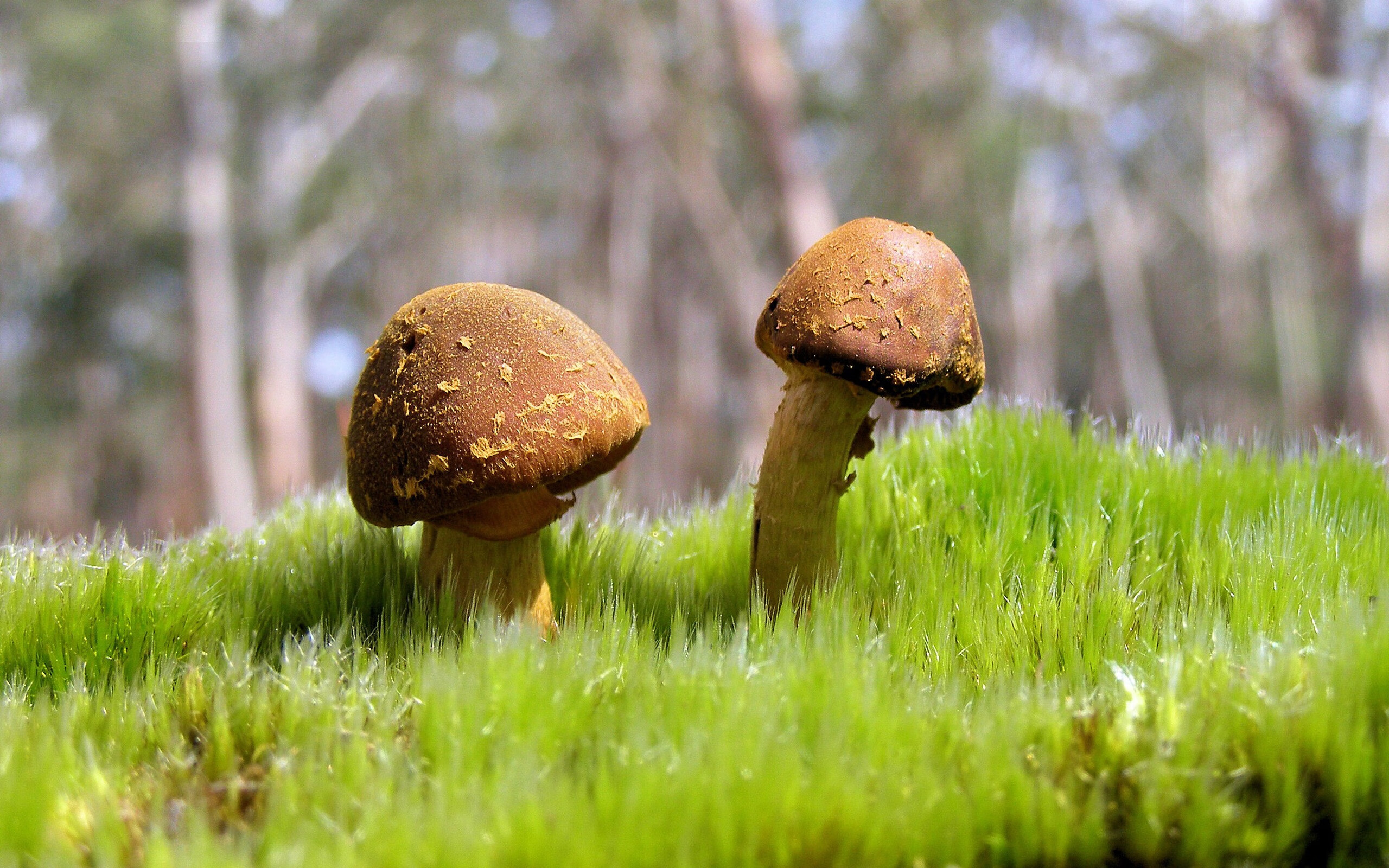 亚洲青年比赛,泰国队逆转获胜,期待奥运突破,亚洲杯泰国赛程