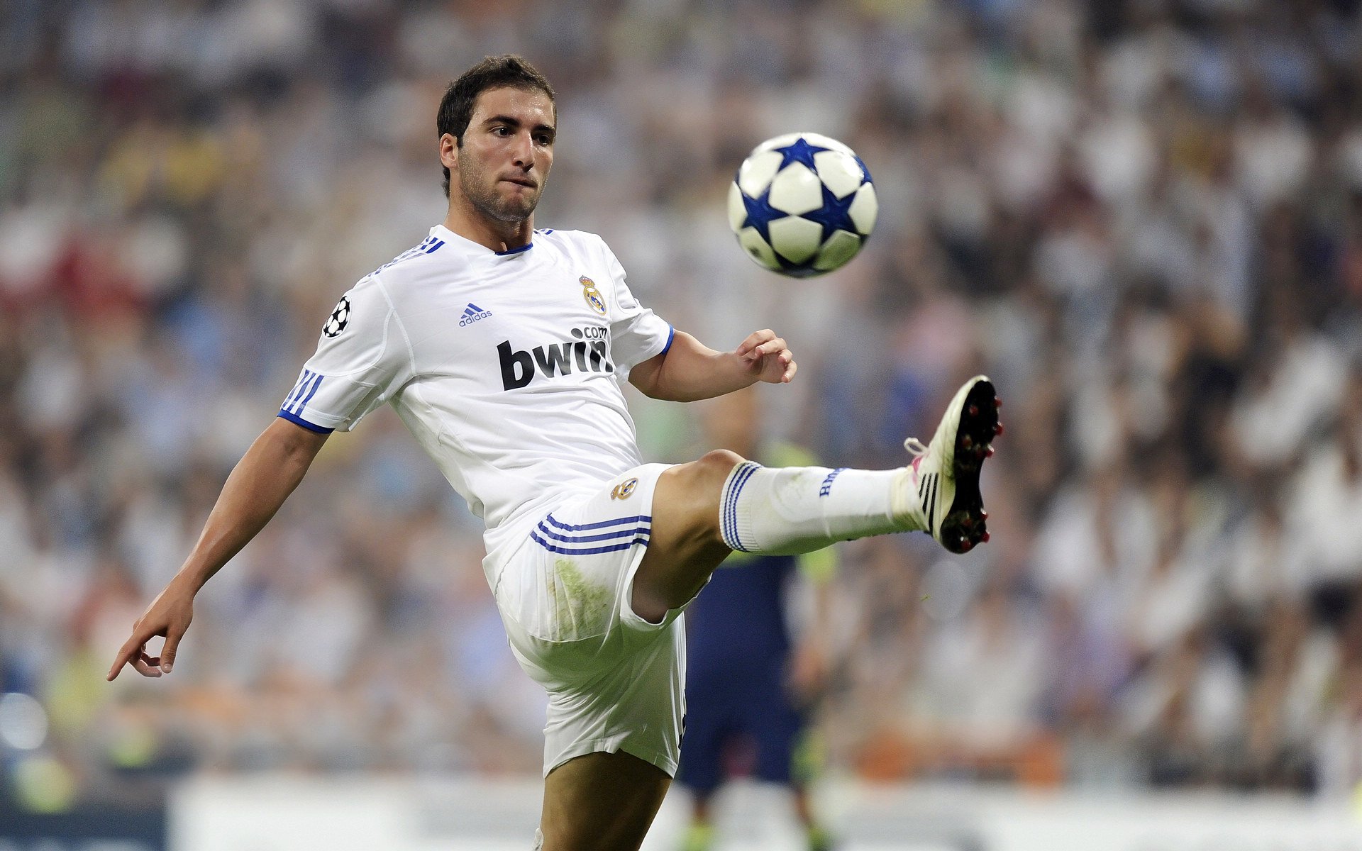 决赛焦点:温斯坦与奥卡拉汉火力全开,温斯坦强度线