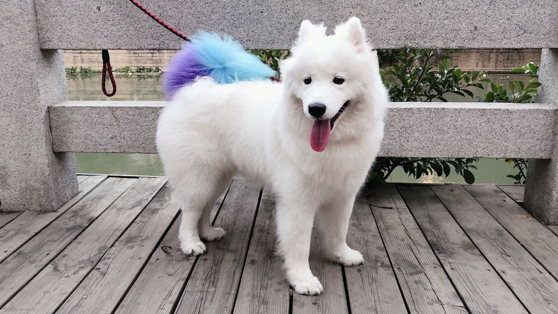 喀麦隆男篮在非洲锦标赛中表现强劲,迎来历史新高