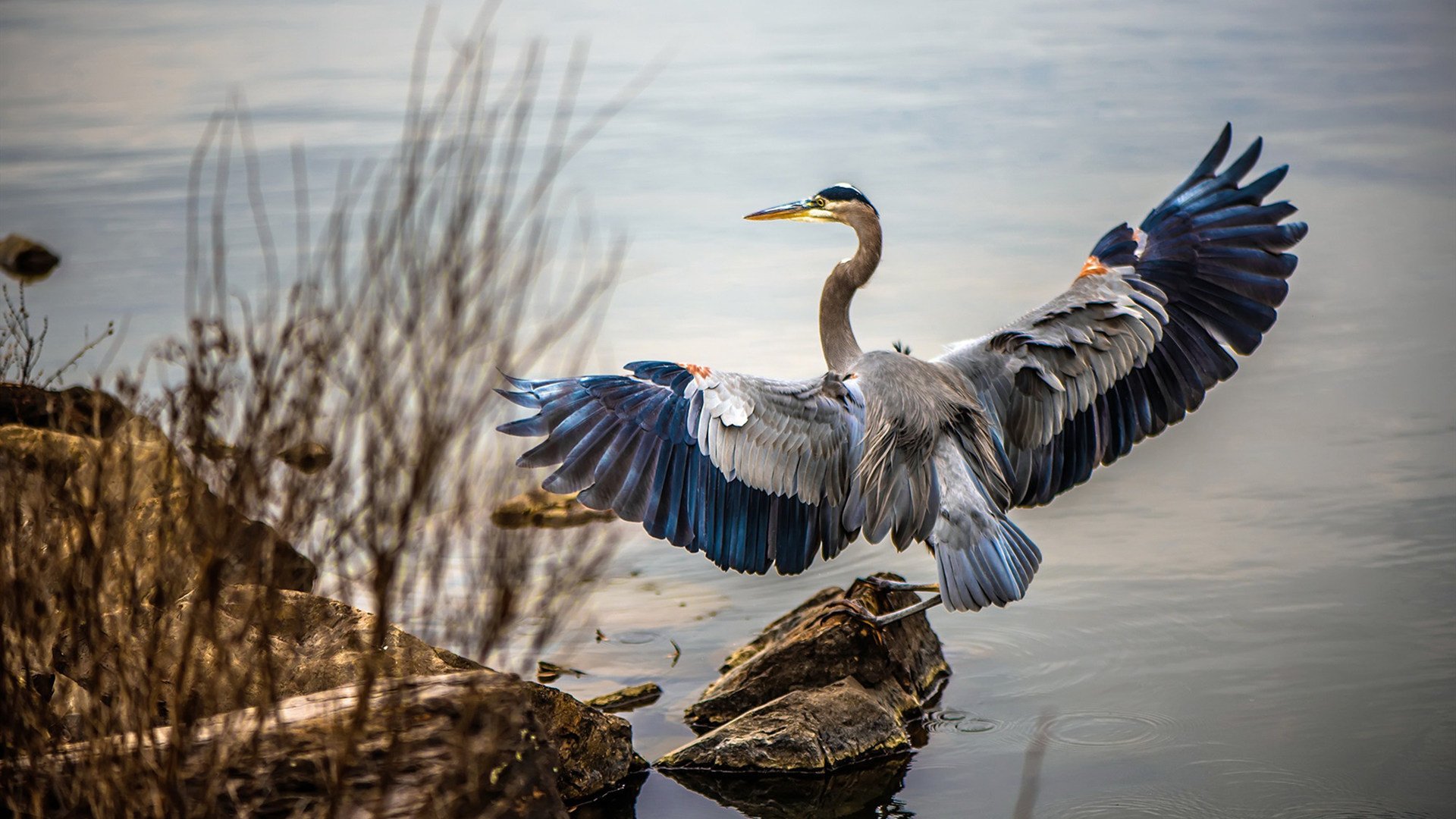 坦桑尼亚男篮在非洲锦标赛中奋勇攀登,追求突破