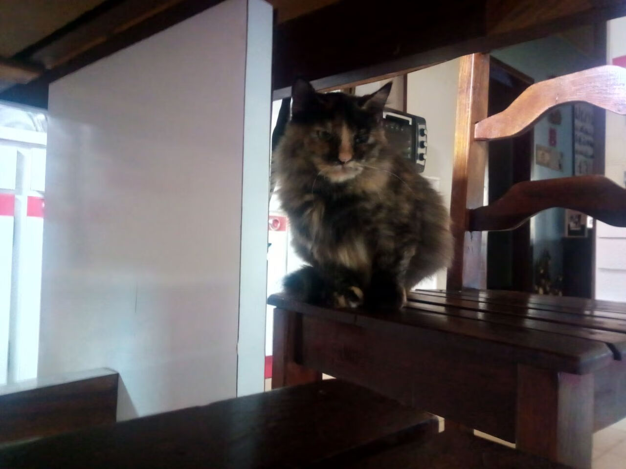 法甲箭指巅峰:战术配合成就经典,法甲指甲