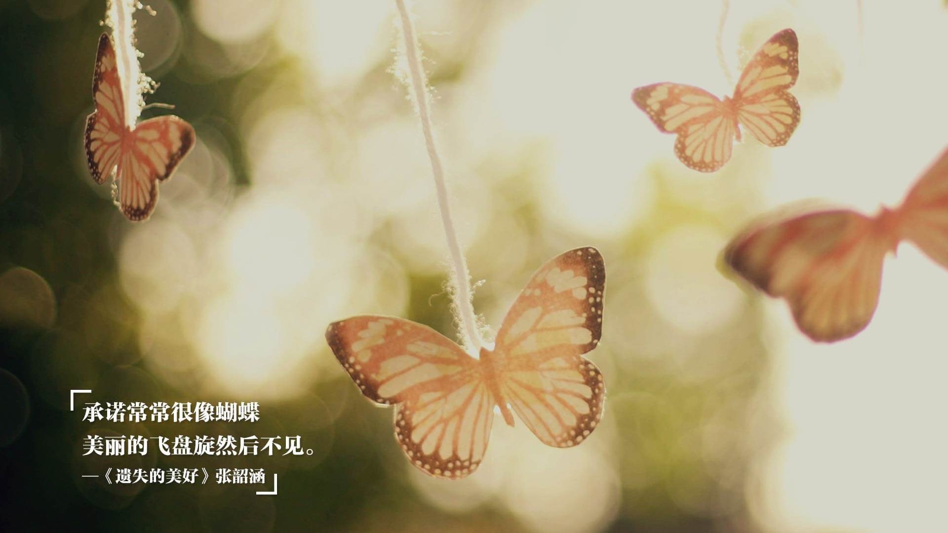 中国足球赛事门票收入与粉丝基础规模相关性分析，中国足球赛事门票怎么买